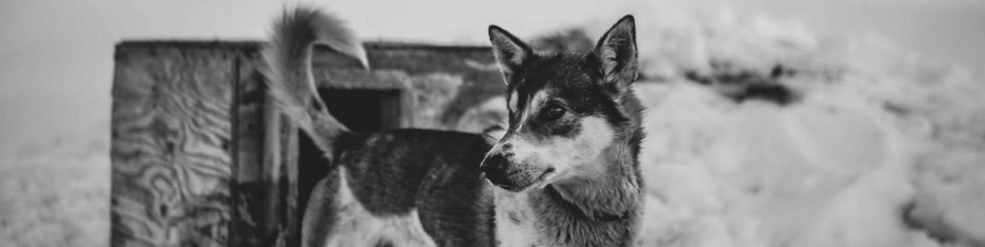 LIFESTYLE – FILSON JAPAN