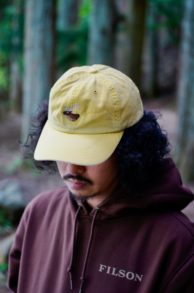 WASHED LOW-PROFILE LOGGER CAP / ウォッシュド ロープロファイル ロガーキャップ